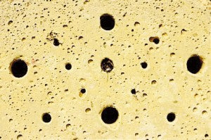 Schwegler Wood-concrete Insect Block Schwegler, hyönteishotelli - kestävä puu-betoniseos